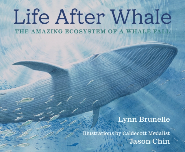 Life After Whale : The Amazing Ecosystem of a Whale Fall, Hardback Book