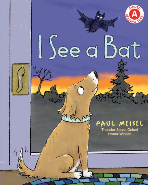 I See a Bat, Paperback / softback Book