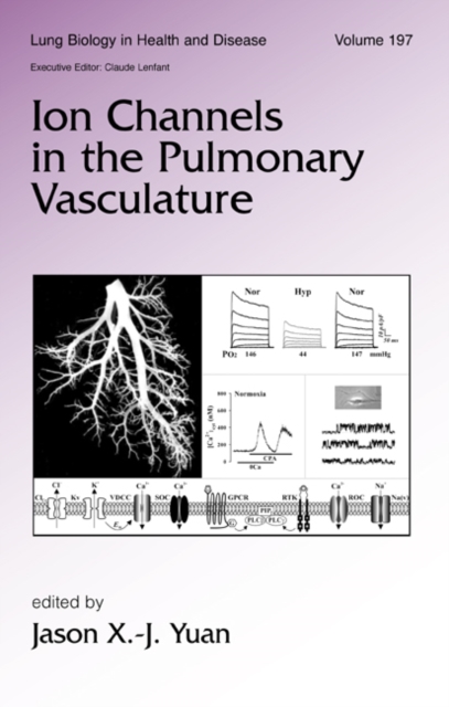 Ion Channels in the Pulmonary Vasculature, Hardback Book