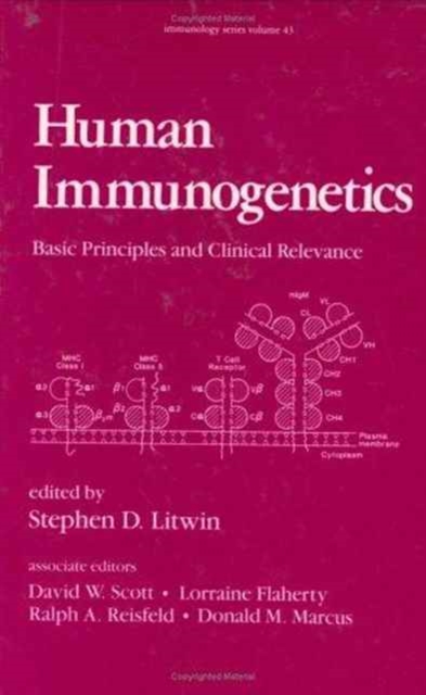 Human Immunogenetics : Basic Principles and Clinical Relevance, Hardback Book