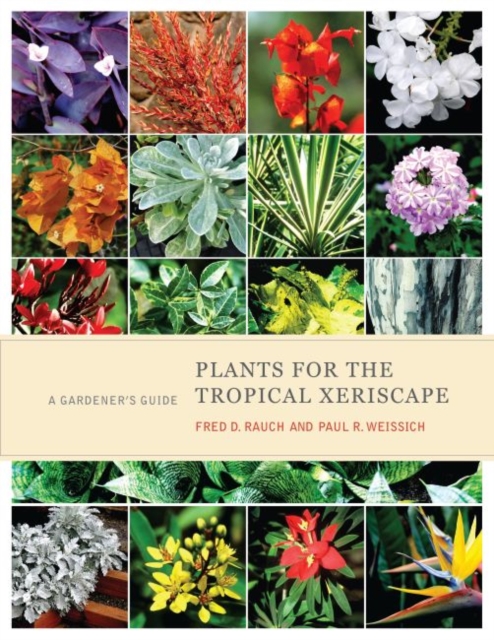 Plants for the Tropical Xeriscape : A Gardener's Guide, Hardback Book