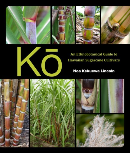 Ko : An Ethnobotanical Guide to Hawaiian Sugarcane Cultivars, Paperback / softback Book
