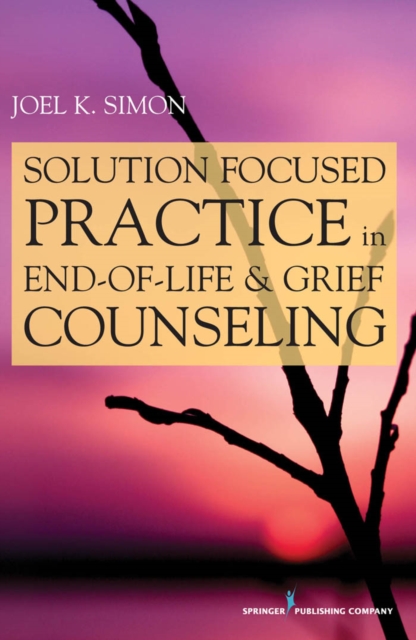 Solution-Focused Practice in End-of-Life & Grief Counseling, Paperback / softback Book