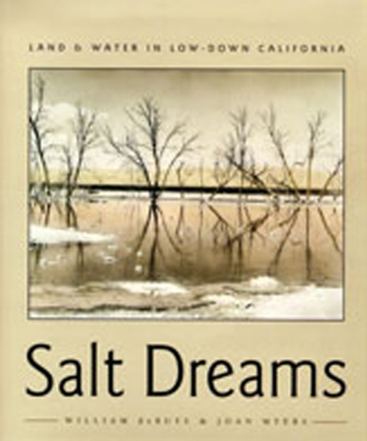 Salt Dreams : Land and Water in Low-down California, Paperback / softback Book