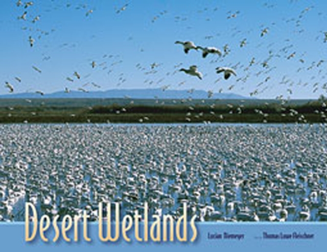Desert Wetlands, Paperback / softback Book
