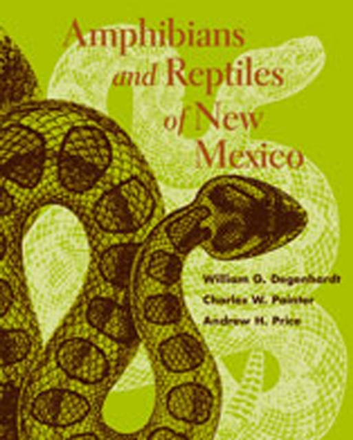 Amphibians and Reptiles of New Mexico, Paperback / softback Book