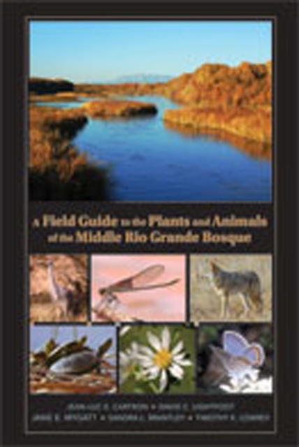A Field Guide to the Plants and Animals of the Middle Rio Grande Bosque, Paperback / softback Book