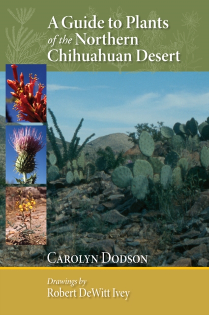A Guide to Plants of the Northern Chihuahuan Desert, EPUB eBook