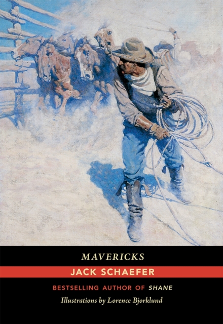 Mavericks, Paperback / softback Book