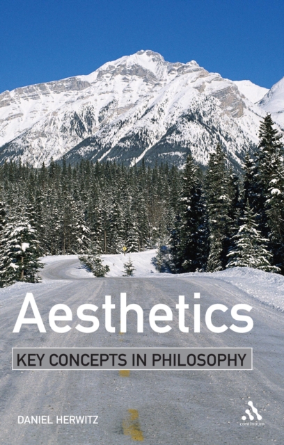 Aesthetics: Key Concepts in Philosophy, PDF eBook