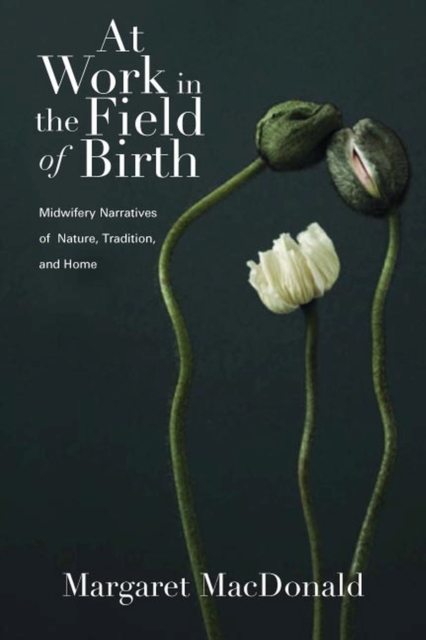 At Work in the Field of Birth : Midwifery Narratives of Nature, Tradition, and Home, Paperback / softback Book