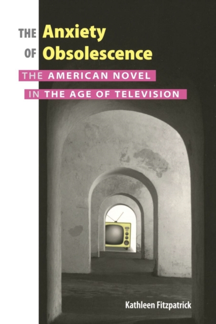 The Anxiety of Obsolescence : The American Novel in the Age of Television, PDF eBook