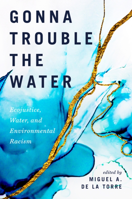 Gonna Trouble the Water, EPUB eBook