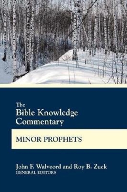 Bible Knowledge Commentary Min, Paperback / softback Book