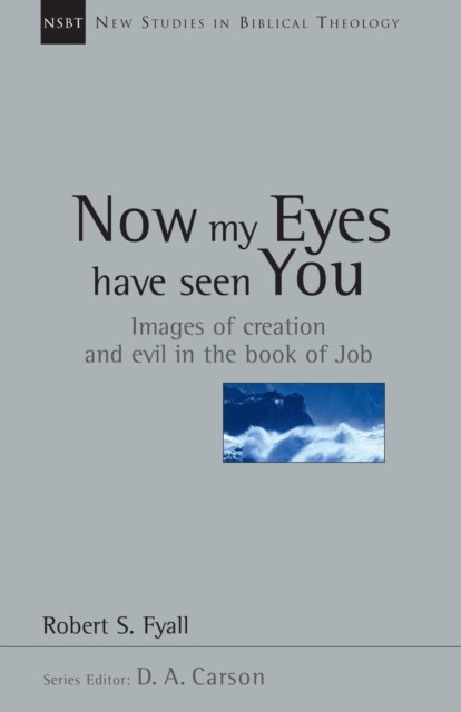 Now My Eyes Have Seen You : Images of Creation and Evil in the Book of Job, EPUB eBook