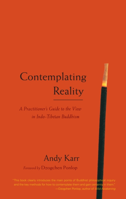 Contemplating Reality, EPUB eBook