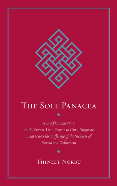 Sole Panacea, EPUB eBook