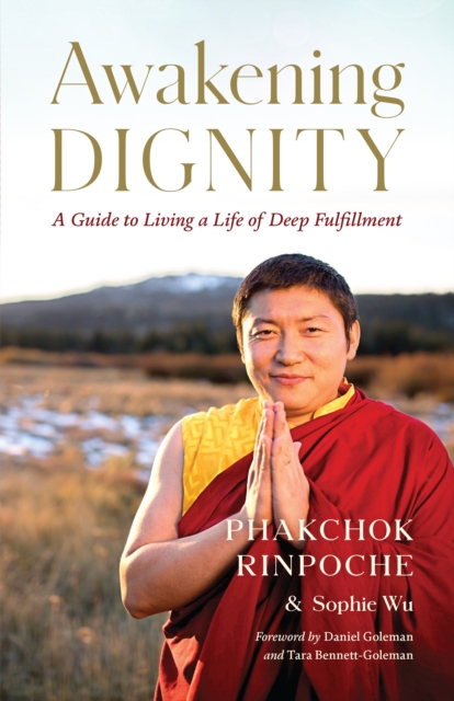 Awakening Dignity, EPUB eBook