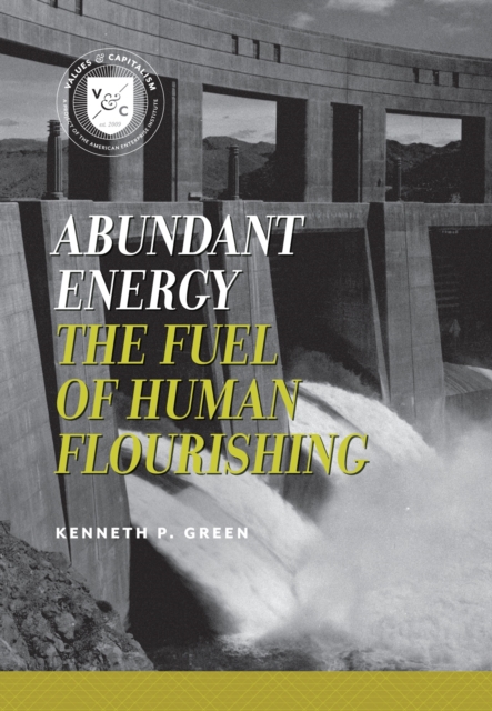 Abundant Energy : The Fuel of Human Flourishing, EPUB eBook