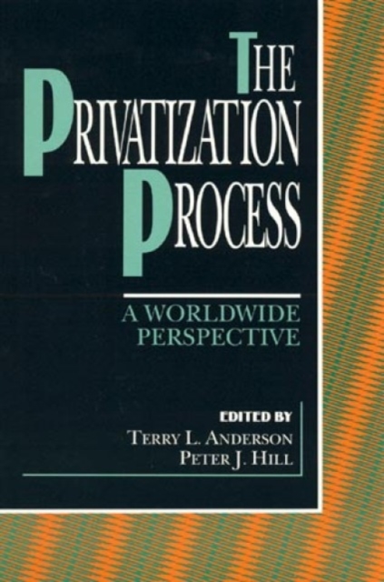 The Privatization Process : A Worldwide Perspective, Hardback Book