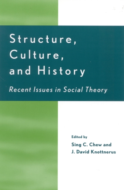 Structure, Culture, and History : Recent Issues in Social Theory, Paperback / softback Book