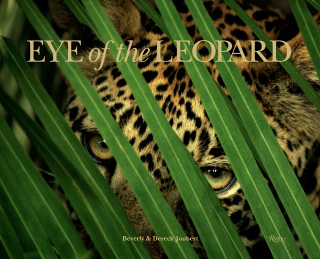 Eye of the Leopard, Hardback Book