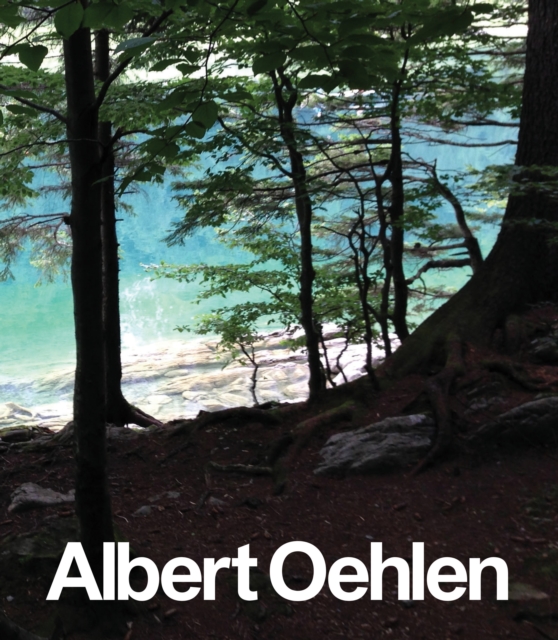 Albert Oehlen : New Paintings, Hardback Book