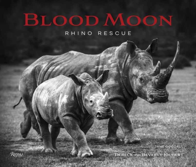 Blood Moon : Rescuing the Rhino, Hardback Book