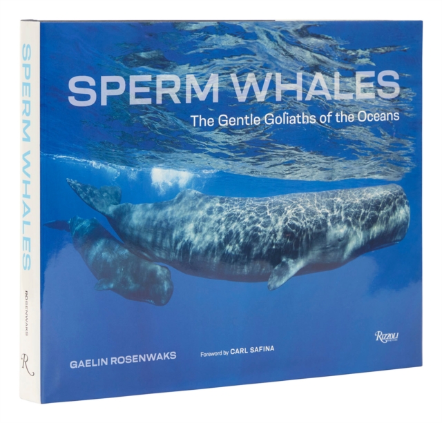 Sperm Whales : The Gentle Goliaths of the Ocean, Hardback Book