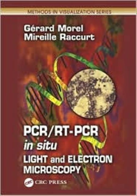 PCR/RT- PCR in situ : Light and Electron Microscopy, Hardback Book
