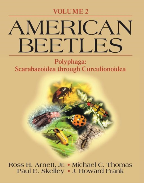 American Beetles, Volume II : Polyphaga: Scarabaeoidea through Curculionoidea, Paperback / softback Book