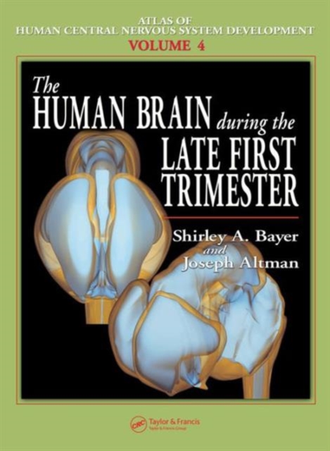The Human Brain During the Late First Trimester, Hardback Book