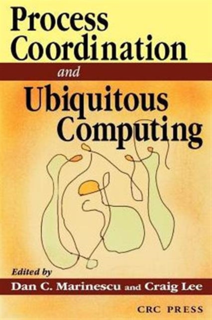 Internet Process Coordination, Paperback / softback Book