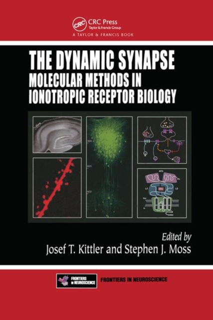 The Dynamic Synapse : Molecular Methods in Ionotropic Receptor Biology, Hardback Book
