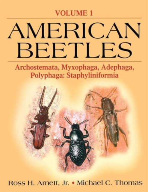 American Beetles, Volume I : Archostemata, Myxophaga, Adephaga, Polyphaga: Staphyliniformia, Paperback / softback Book
