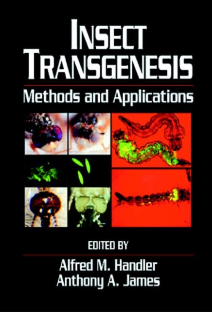 Insect Transgenesis : Methods and Applications, Hardback Book