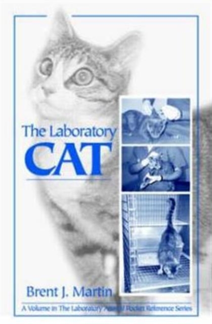 The Laboratory Cat, Paperback / softback Book