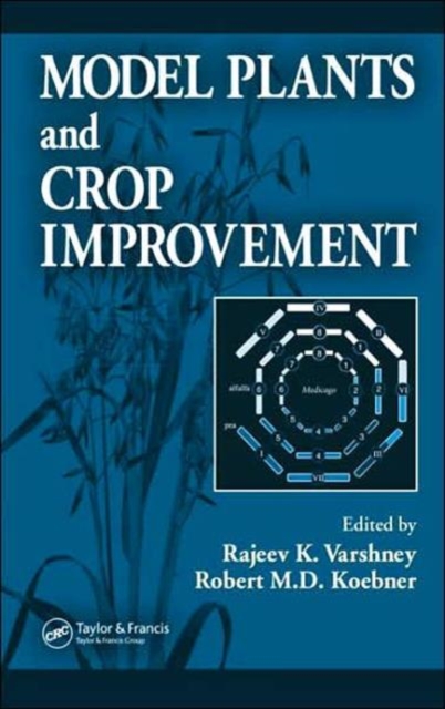 Model Plants and Crop Improvement, Hardback Book