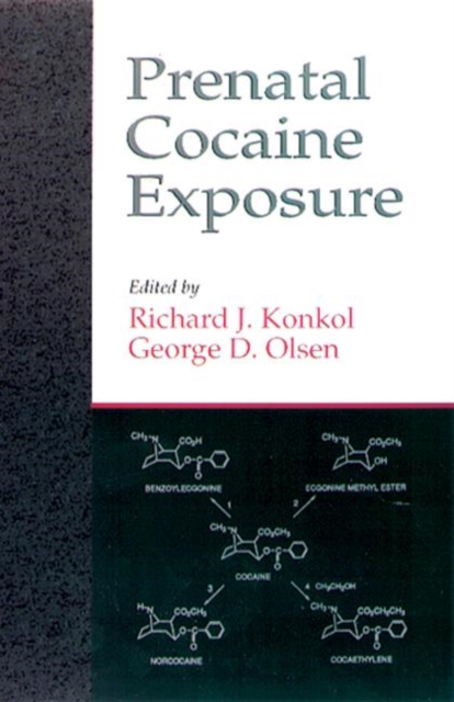 Prenatal Cocaine Exposure, Hardback Book