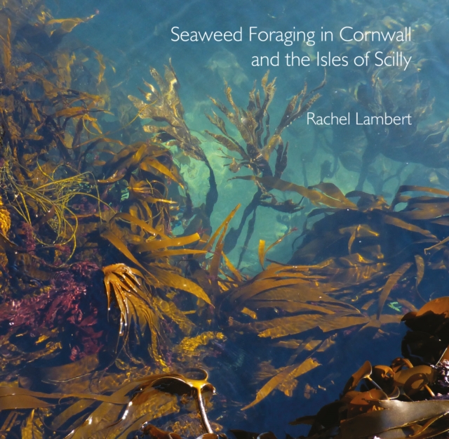 Seaweed Foraging in Cornwall and the Isles of Scilly, Paperback / softback Book