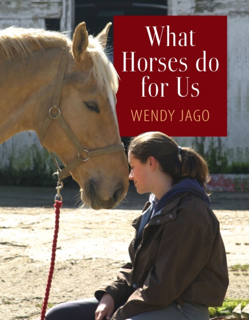 What Horses Do for Us, Hardback Book