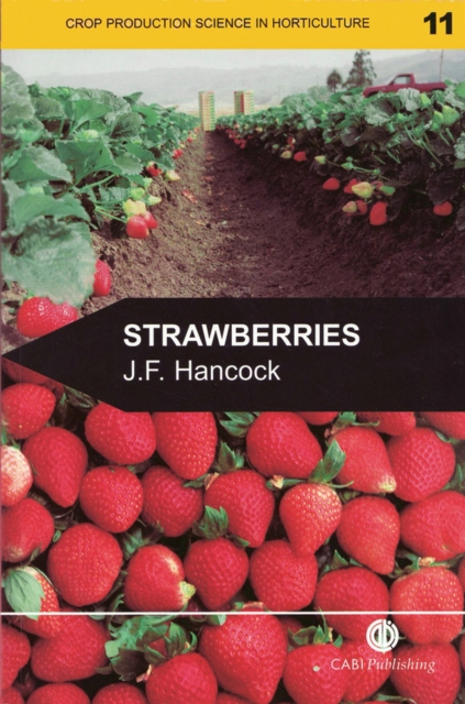 Strawberries, Paperback / softback Book