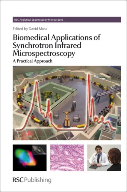 Biomedical Applications of Synchrotron Infrared Microspectroscopy : A Practical Approach, Hardback Book