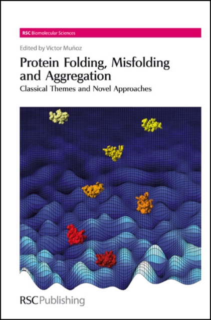 Protein Folding, Misfolding and Aggregation : Classical Themes and Novel Approaches, Hardback Book