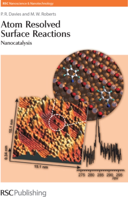 Atom Resolved Surface Reactions : Nanocatalysis, Hardback Book
