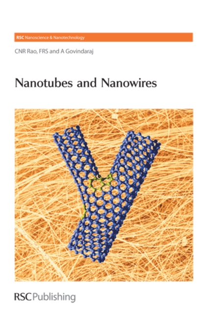 Nanotubes and Nanowires, Hardback Book