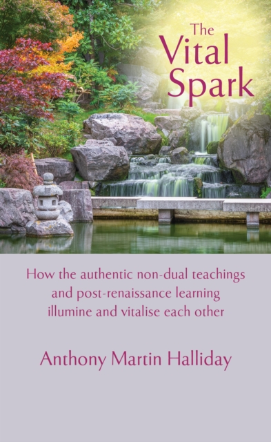 The Vital Spark : How the authentic non-dual teachings and post-renaissance learning illumine and vitalise each other., EPUB eBook