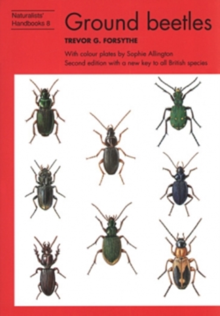 Ground beetles, Hardback Book