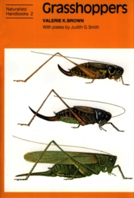 Grasshoppers, Hardback Book