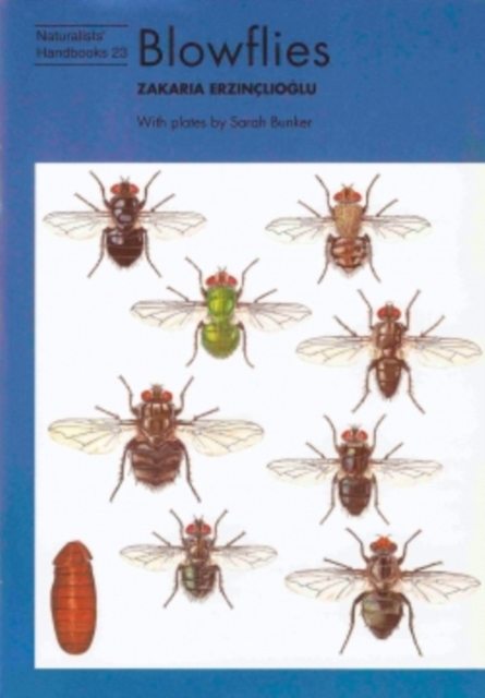 Blowflies, Paperback / softback Book